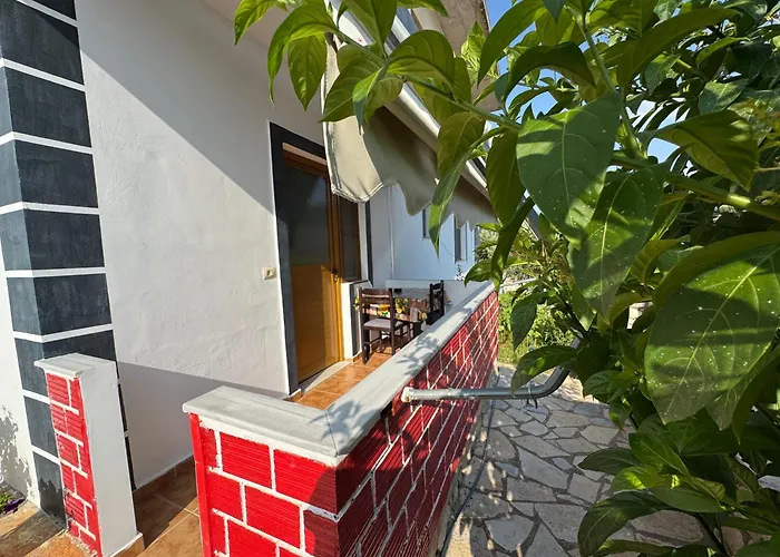 Toni Caca * 卡萨米尔