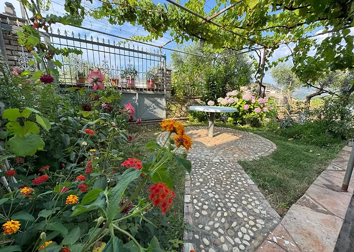 Toni Caca 卡萨米尔